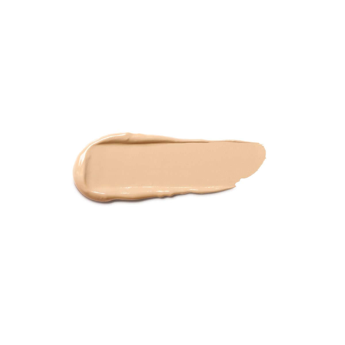 Full Coverage 2-In-1 Foundation & Concealer 06 - Wb 15