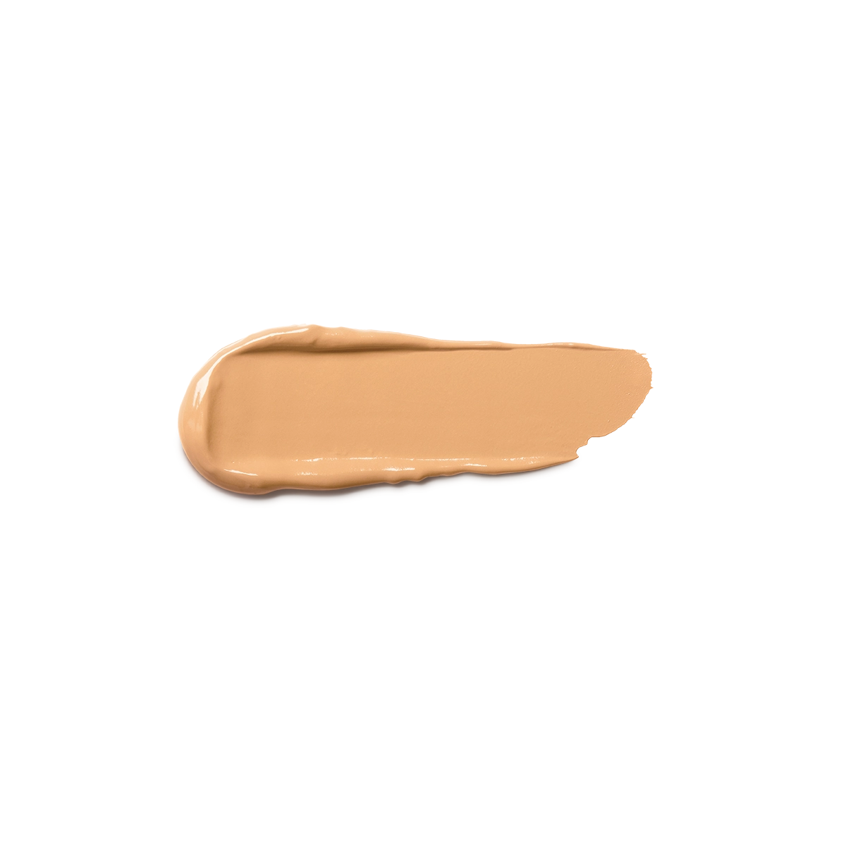 Full Coverage 2-In-1 Foundation & Concealer 11 - N 60