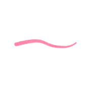 Smart Fusion Lip Pencil 19