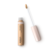 Love Fusion 24H Moisture Radiant Concealer 15