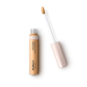 Love Fusion 24H Moisture Radiant Concealer 16