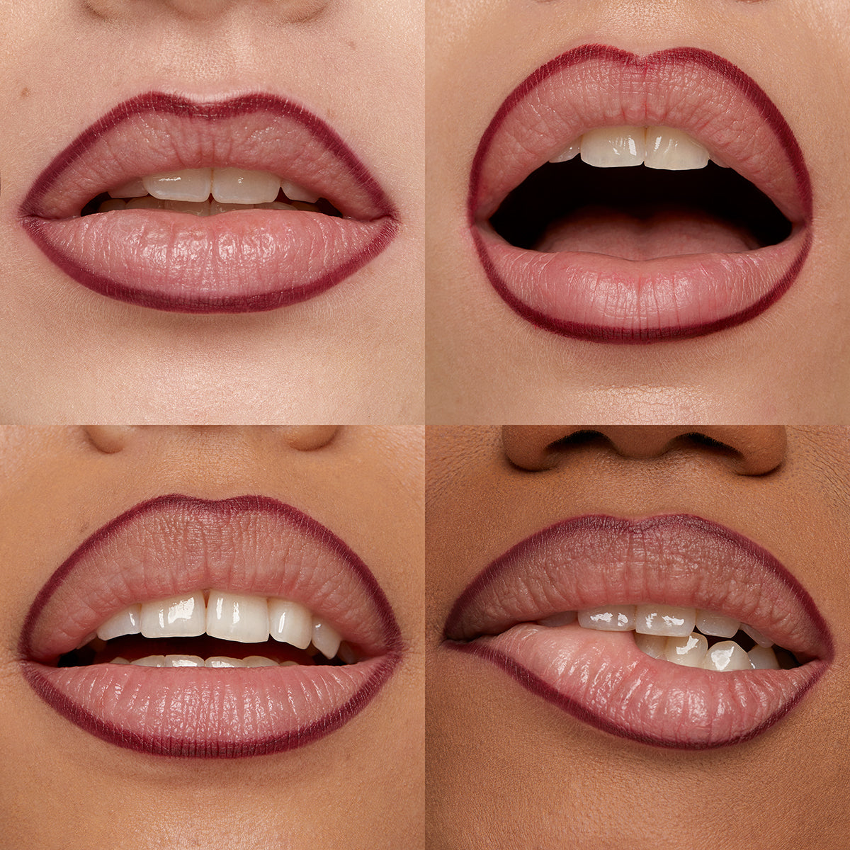 Smart Fusion Lip Pencil 17