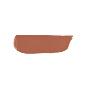 Velvet Passion Matte Lipstick 301