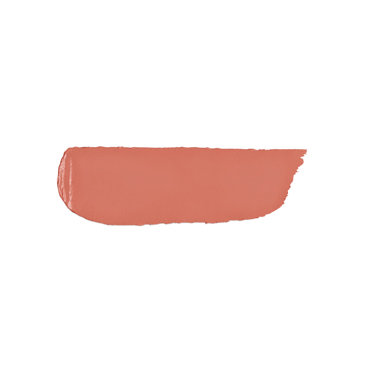 Velvet Passion Matte Lipstick 302