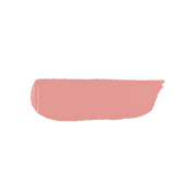 Velvet Passion Matte Lipstick 326